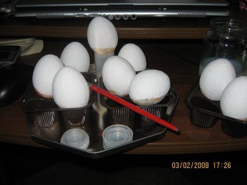Шаг 11 - Мастер-класс "Заготовка для пасхального яйца"